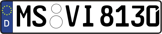 MS-VI8130