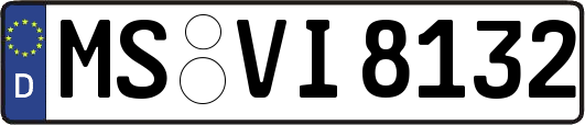 MS-VI8132