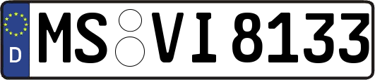 MS-VI8133
