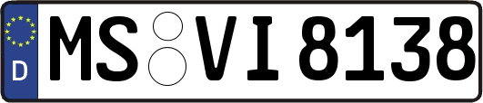 MS-VI8138
