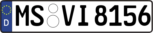 MS-VI8156