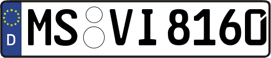 MS-VI8160