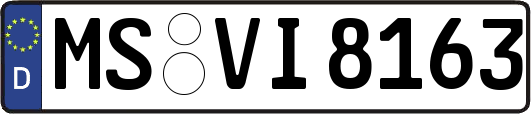 MS-VI8163