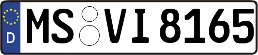 MS-VI8165