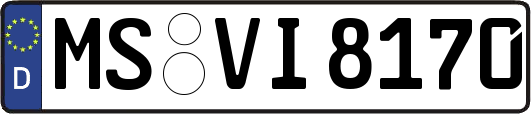 MS-VI8170