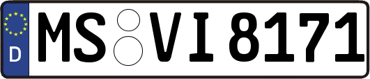 MS-VI8171
