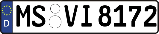 MS-VI8172