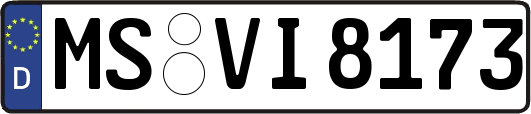 MS-VI8173