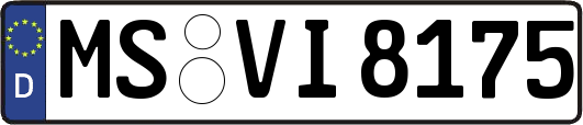 MS-VI8175