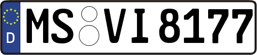 MS-VI8177