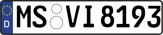 MS-VI8193