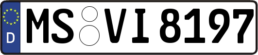MS-VI8197