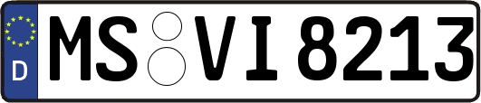 MS-VI8213