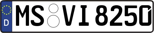 MS-VI8250