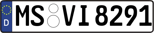 MS-VI8291