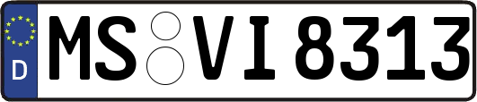 MS-VI8313