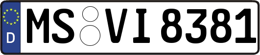 MS-VI8381