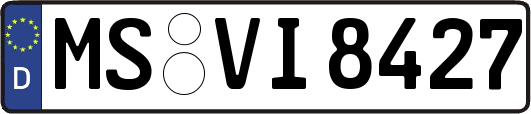MS-VI8427