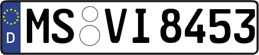 MS-VI8453