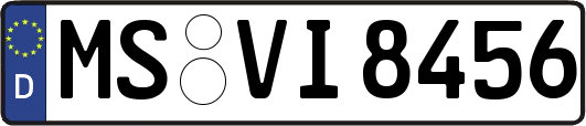 MS-VI8456