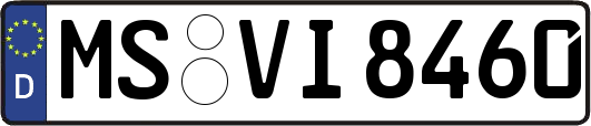 MS-VI8460
