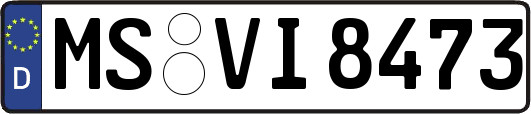 MS-VI8473