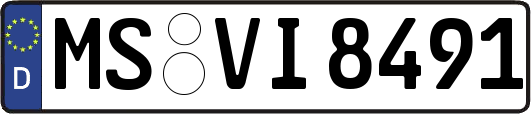 MS-VI8491