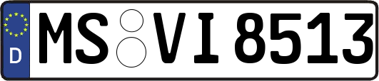 MS-VI8513