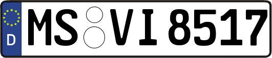 MS-VI8517