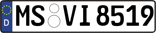 MS-VI8519