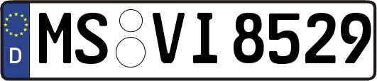 MS-VI8529