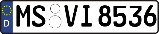 MS-VI8536