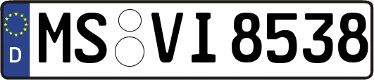 MS-VI8538