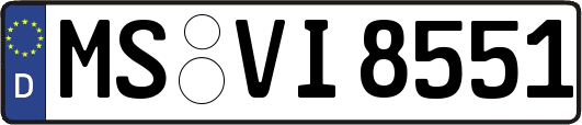 MS-VI8551