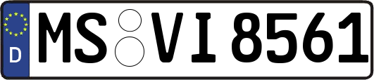 MS-VI8561
