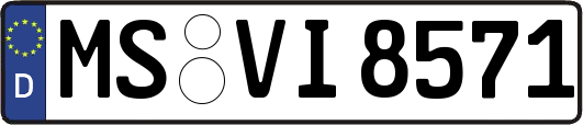MS-VI8571