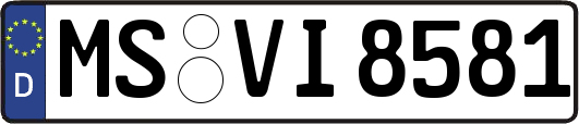 MS-VI8581