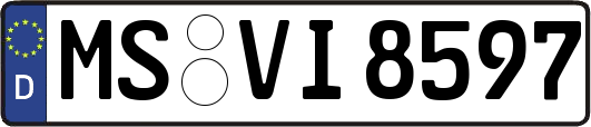 MS-VI8597