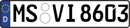 MS-VI8603