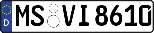 MS-VI8610