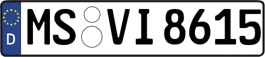 MS-VI8615
