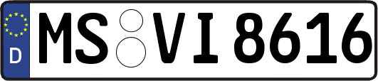 MS-VI8616