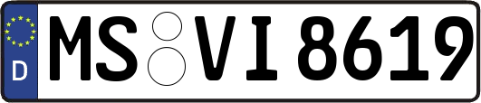 MS-VI8619