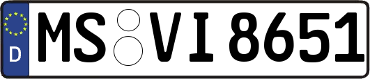 MS-VI8651