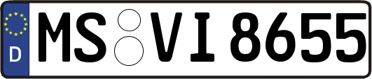 MS-VI8655