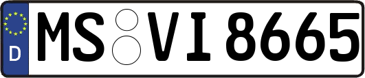 MS-VI8665