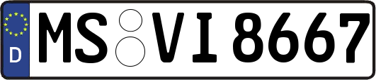 MS-VI8667