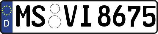 MS-VI8675