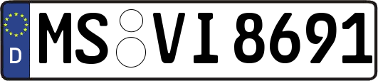 MS-VI8691