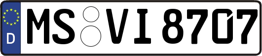 MS-VI8707